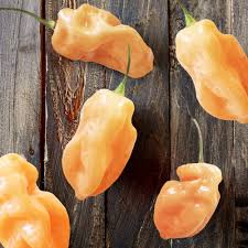 Afbeeldingsresultaat voor peach habanero hot pepper