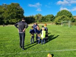 Image result for Capel Football Club