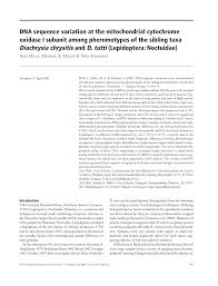 Attēlu rezultāti vaicājumam “Diachrysia tutti”