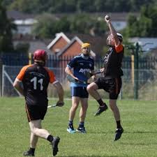 Image result for Sarsfield Gfc