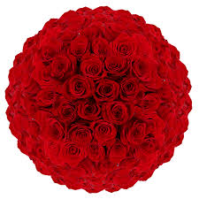 Image result for Red Rose Cc