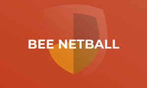 Image result for Huddersfield Giants Netball Club