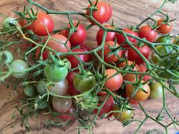 Afbeeldingsresultaat voor rose quartz tomato