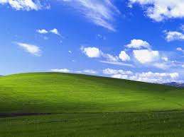 http://t0.gstatic.com/images?q=tbn:ANd9GcRmG3w3TLFEEVm-VBmIezFU60jPGkrxNsfBAR6LoHrIxLQPPHcs