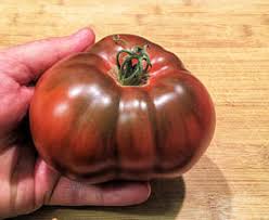 Afbeeldingsresultaat voor carbon tomato