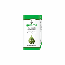 Attēlu rezultāti vaicājumam “Vaccinium vitis-idaea bud”