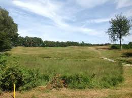Image result for Brokenhurst Manor Golf Club