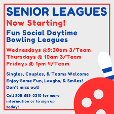 Image result for Runnymede Bowls League