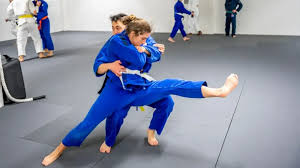 Image result for Revolution Dojo