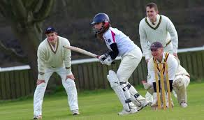 Image result for Hatfield Hyde Cricket Club