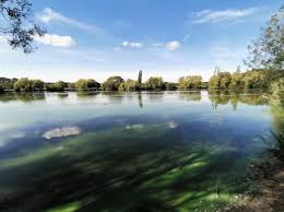 Image result for Buckhurst Hill Cricket & Lacrosse Club