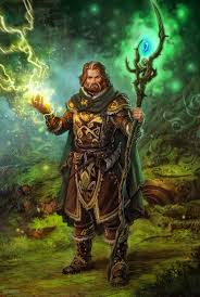 Image result for druid