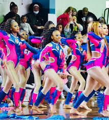 Image result for Platinum Majorettes