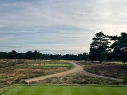 Image result for Hankley Common Golf Club