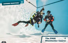Image result for Divemaster Scuba