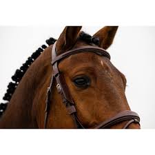 Image result for scheuklappen