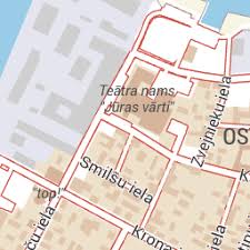 Attēlu rezultāti vaicājumam “Paradiacheopsis rigida stalked”