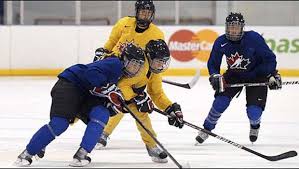 Image result for Pontypool Skater Hockey Club