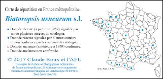 Attēlu rezultāti vaicājumam “Biatoropsis usnearum”