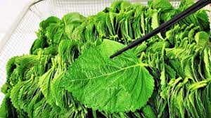 Image result for 깱깲깳깴깵깶깷깺깾깿꺀꺁꺂꺃꺆꺇꺈꺉꺊꺋꺍꺎꺏꺐