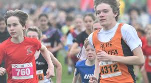 Image result for Ipswich Jaffa Athletics Club