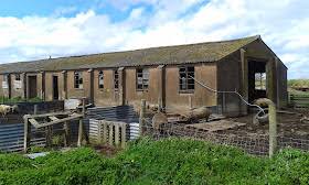 Image result for Rednal Paintball Arena, Shropshire