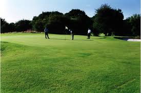 Image result for Palewell Pitch & Putt Golf Club