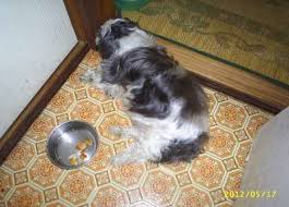 Image result for 201205.html#201205031