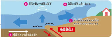 Image result for 高潮 津波 別物