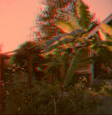 Image result for anaglyphen