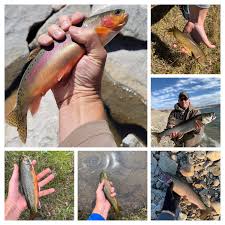 Image result for Prospect Angling Club