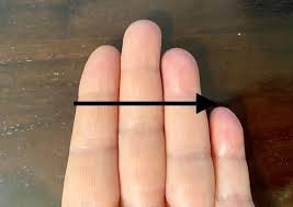 Znalezione obrazy dla zapytania palec