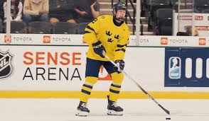 Image result for New Milton Hockey Club