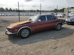 Image result for Antelope 1986 Jaguar