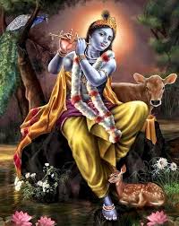 Image result for krishnamurals