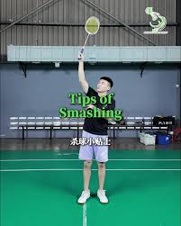 Image result for Janets Drop In Badminton Club