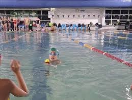 Image result for Melton Mowbray Swimming Club