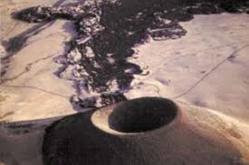 Attēlu rezultāti vaicājumam “Craterium sp.”