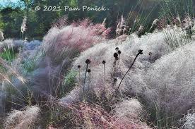 Image result for Piet Oudolf