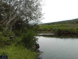 Image result for Aberdeen & District Angling Association