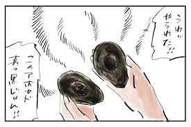 「アボカド大臣」の画像検索結果