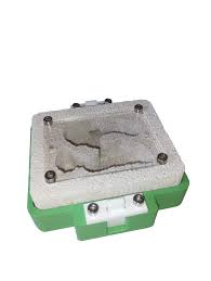 Image result for ytong ants