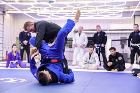 Image result for Uwe Jiu Jitsu Club