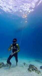 Image result for Richmond-Freediving (London)