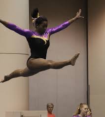 Image result for Biddick Sports College Community Gymnastics Club