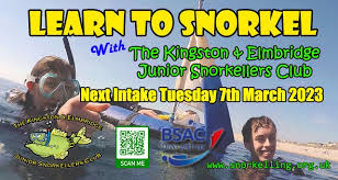 Image result for Kingston and Elmbridge Snorkellers