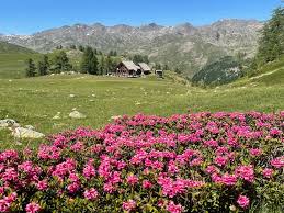 Image result for vallorbe tehron