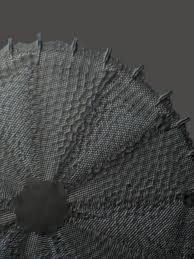 Attēlu rezultāti vaicājumam “Didymium clavus spores”