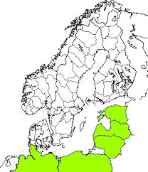 Attēlu rezultāti vaicājumam “Anogcodes melanurus”