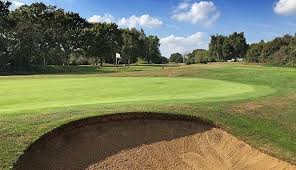Image result for Chelmsford Gc